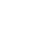 Google Partner Premier 2024